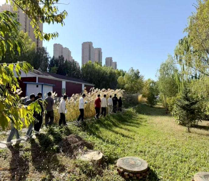 日韩一区二区A片免费观看