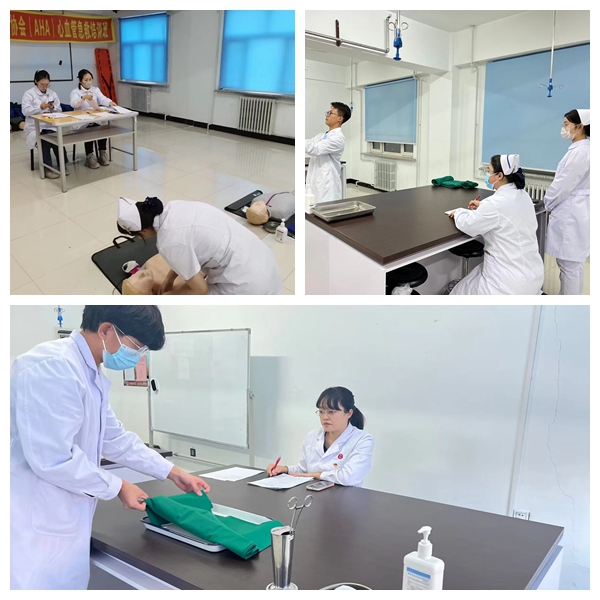 日韩一区二区A片免费观看