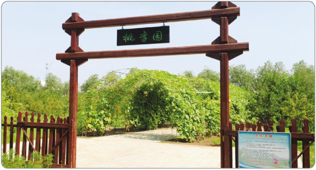 日韩一区二区A片免费观看