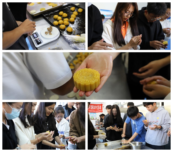 日韩一区二区A片免费观看