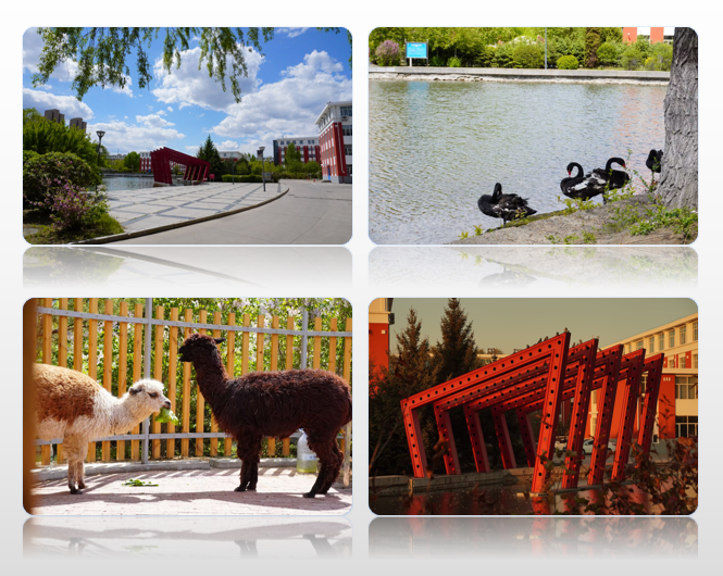 日韩一区二区A片免费观看