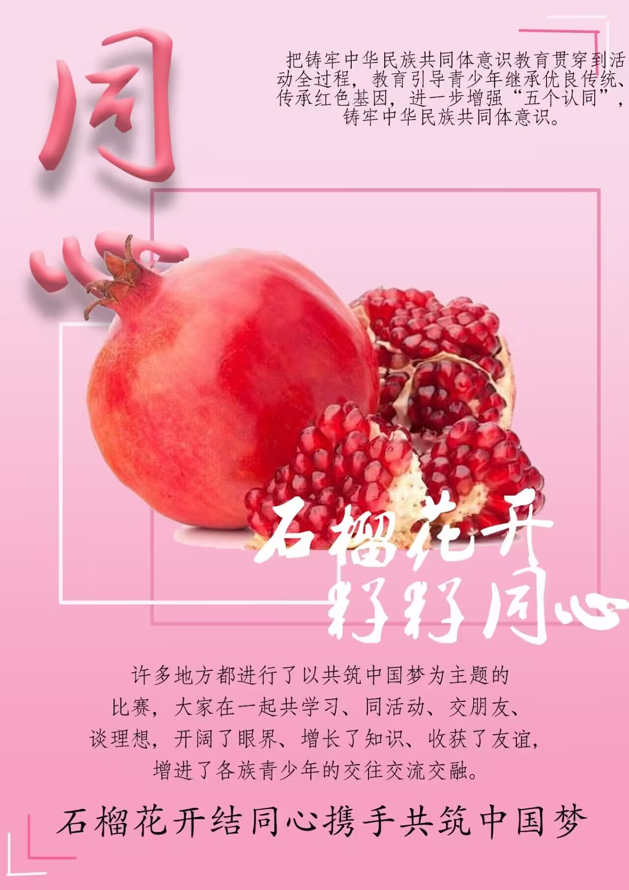 日韩一区二区A片免费观看