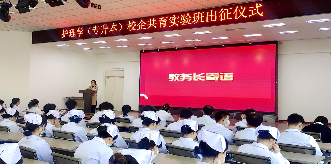 日韩一区二区A片免费观看