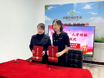 日韩一区二区A片免费观看