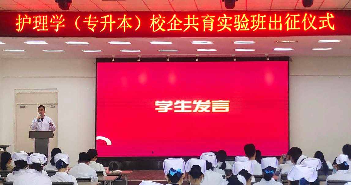 日韩一区二区A片免费观看