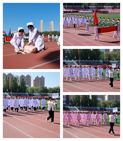 日韩一区二区A片免费观看