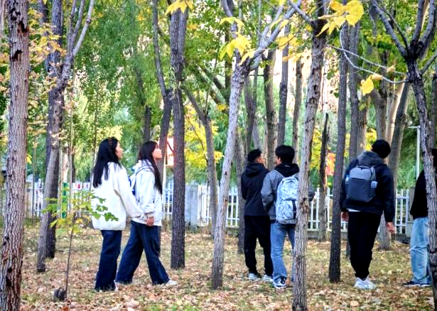 日韩一区二区A片免费观看