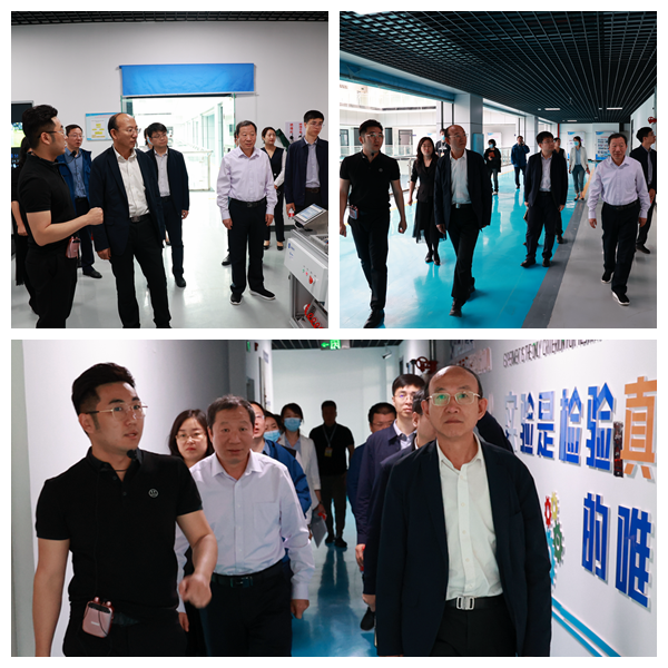 日韩一区二区A片免费观看