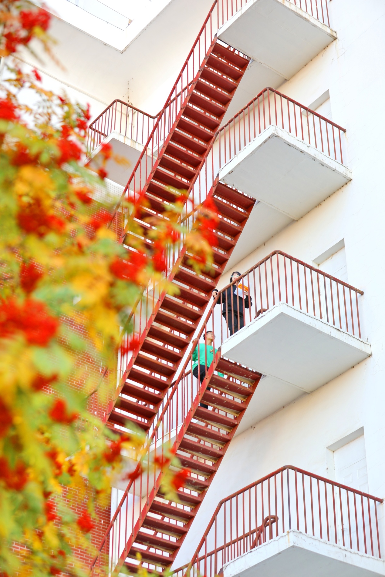 日韩一区二区A片免费观看