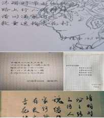 日韩一区二区A片免费观看