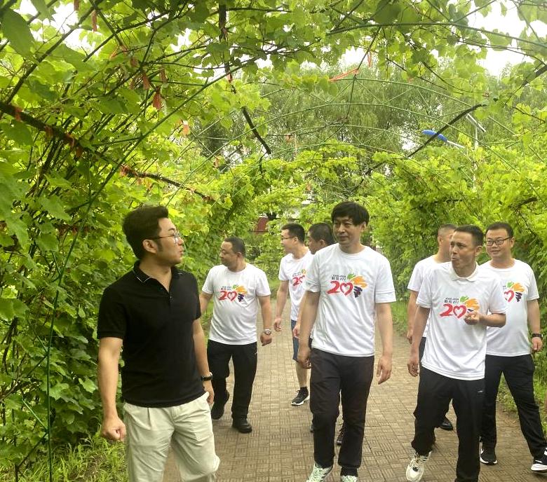 日韩一区二区A片免费观看