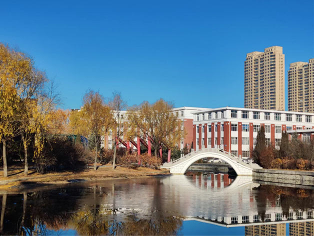 日韩一区二区A片免费观看