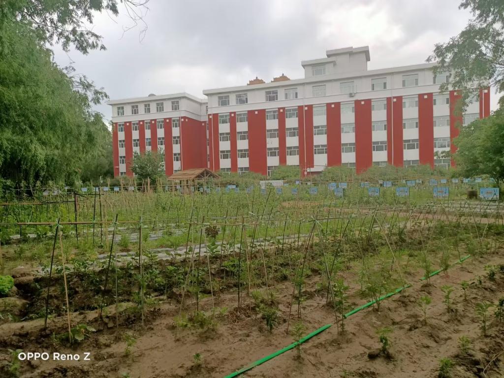 日韩一区二区A片免费观看