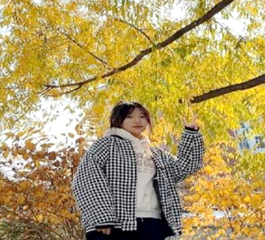 日韩一区二区A片免费观看