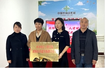 日韩一区二区A片免费观看