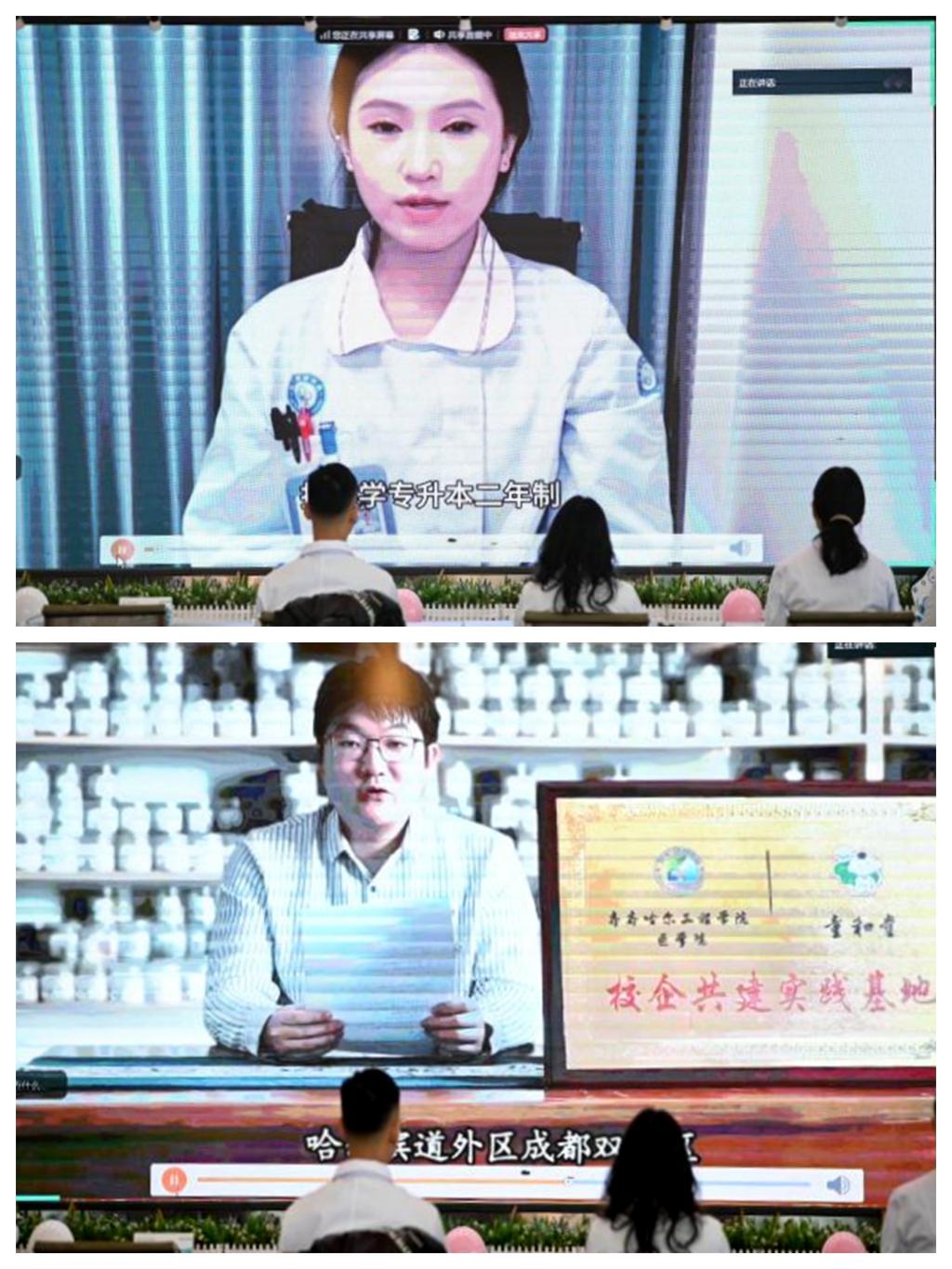 日韩一区二区A片免费观看