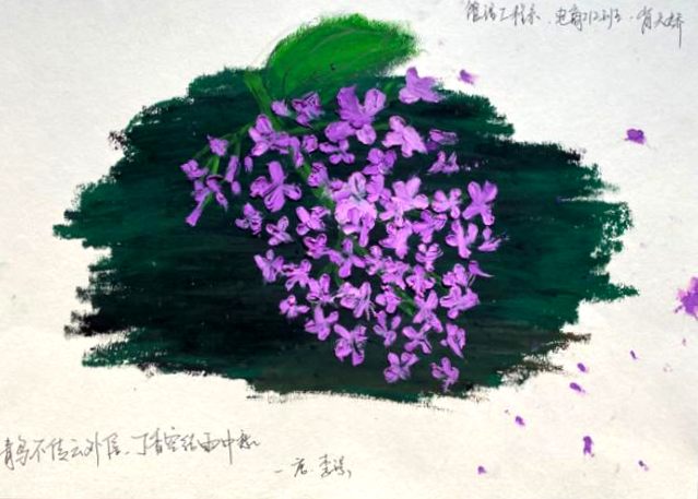 日韩一区二区A片免费观看