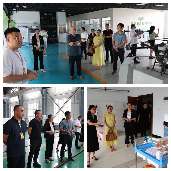 日韩一区二区A片免费观看