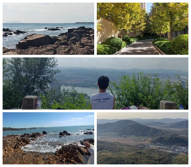 日韩一区二区A片免费观看