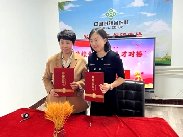 日韩一区二区A片免费观看