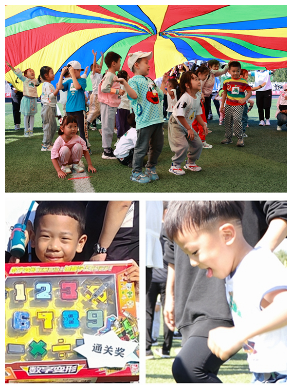 日韩一区二区A片免费观看