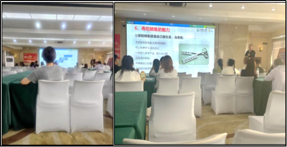 日韩一区二区A片免费观看