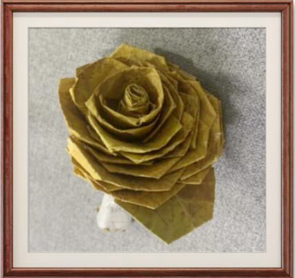 日韩一区二区A片免费观看