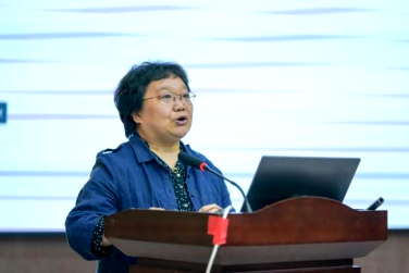 日韩一区二区A片免费观看