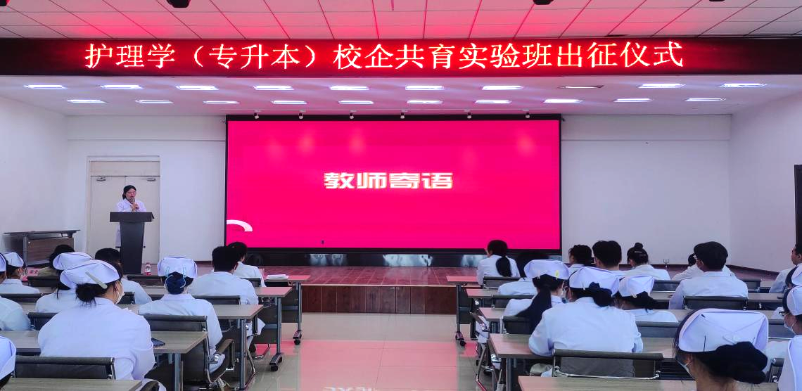 日韩一区二区A片免费观看