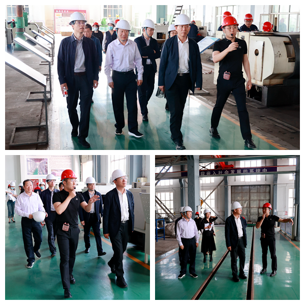 日韩一区二区A片免费观看