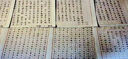 日韩一区二区A片免费观看