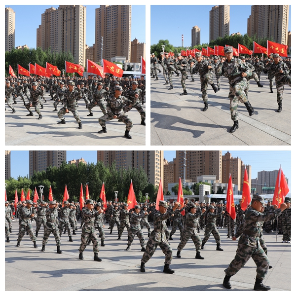 日韩一区二区A片免费观看