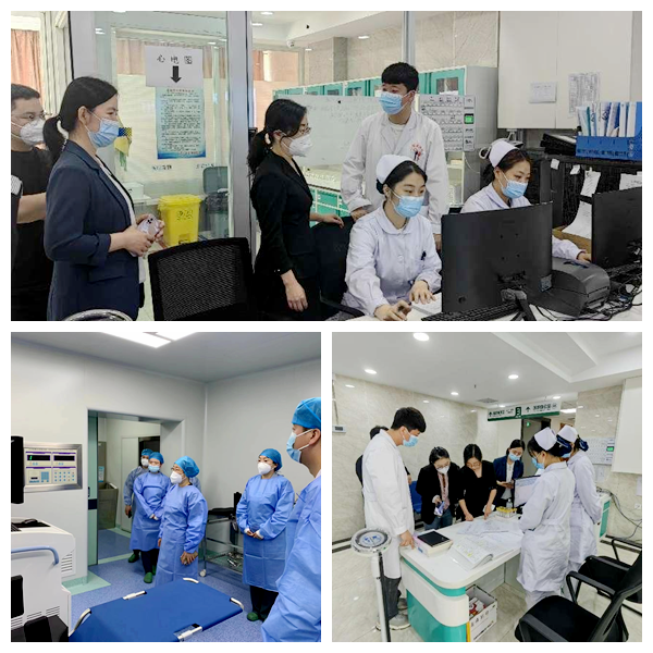 日韩一区二区A片免费观看