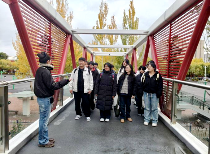 日韩一区二区A片免费观看