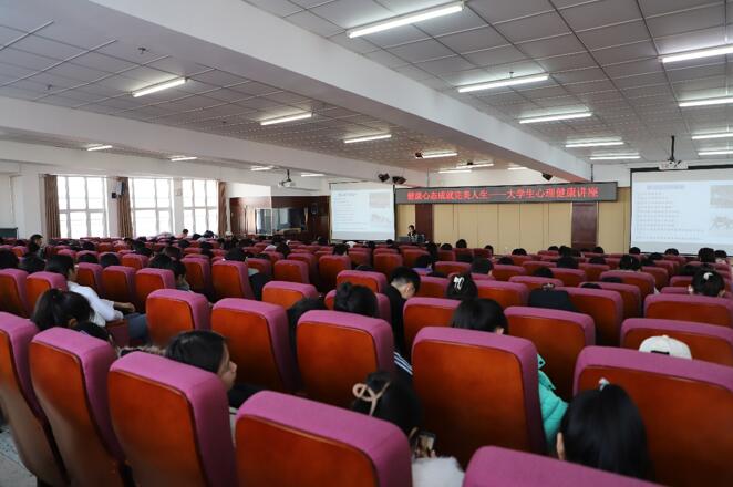 日韩一区二区A片免费观看