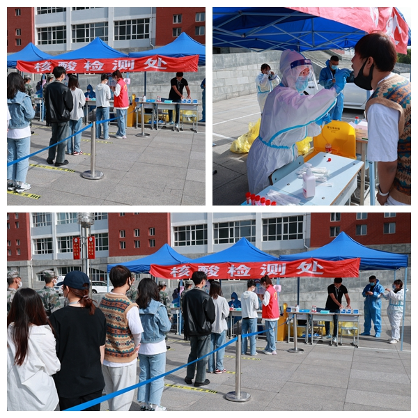 日韩一区二区A片免费观看