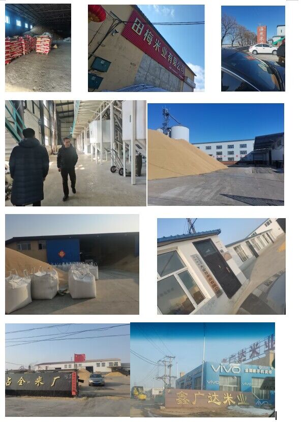 日韩一区二区A片免费观看