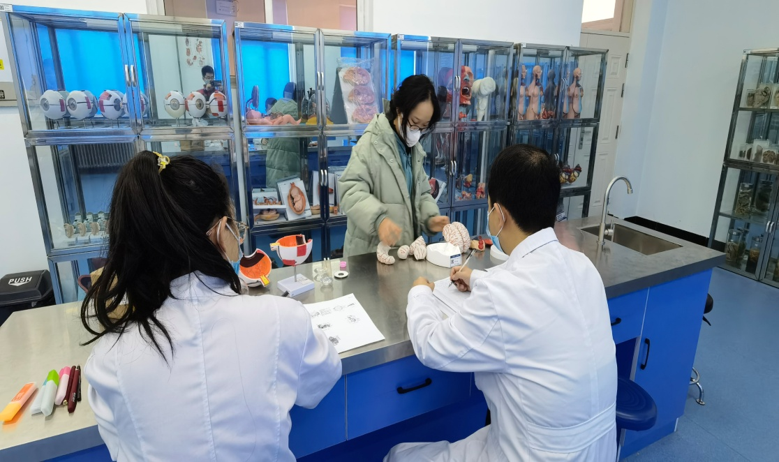 日韩一区二区A片免费观看