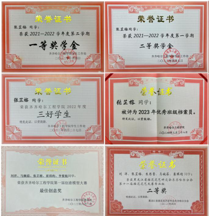 日韩一区二区A片免费观看