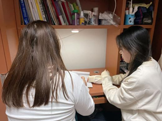 日韩一区二区A片免费观看