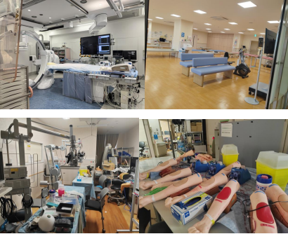 日韩一区二区A片免费观看