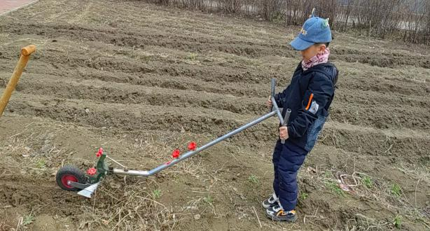 日韩一区二区A片免费观看