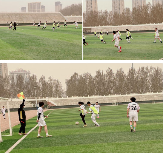 日韩一区二区A片免费观看