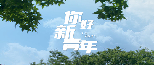 日韩一区二区A片免费观看