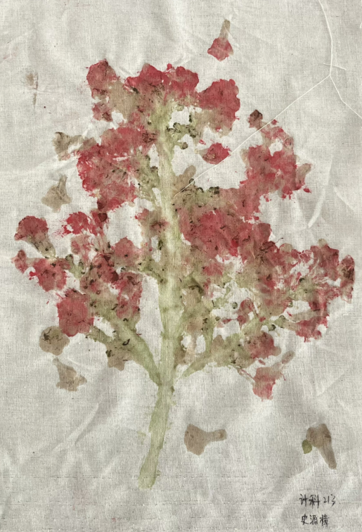 日韩一区二区A片免费观看