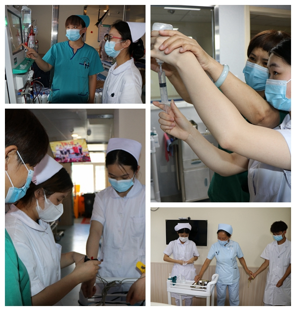 日韩一区二区A片免费观看