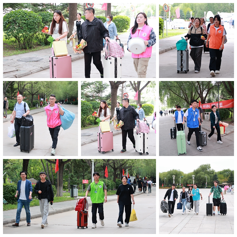 日韩一区二区A片免费观看