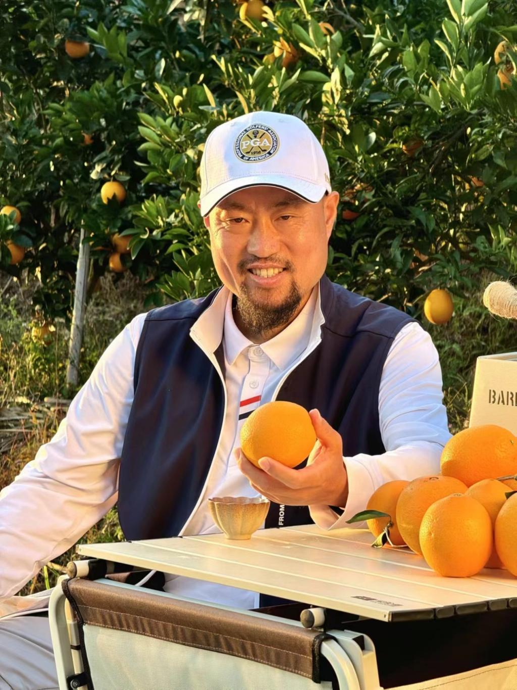 日韩一区二区A片免费观看