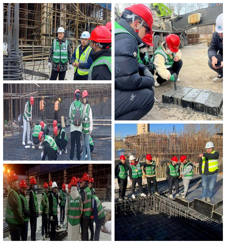 日韩一区二区A片免费观看