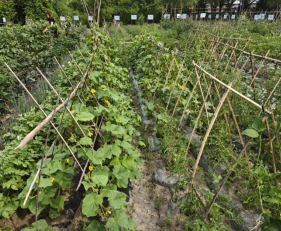 日韩一区二区A片免费观看